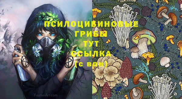 прущий лед Куйбышев