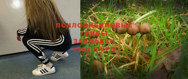 прущий лед Куйбышев